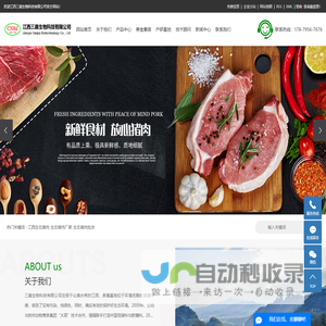网站截图